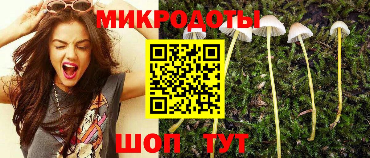 Псилоцибиновые грибы мицелий Прокопьевск